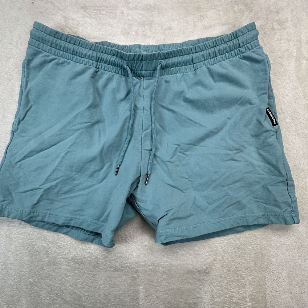 Bearbottom Swim Trunks Men's Large Blue 5.5" Lined‎ Printed Shorts Beach Casual